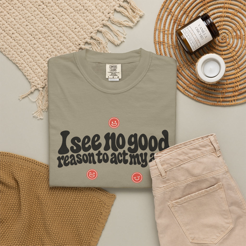 I See No Good Reason… | Funny Graphic Tee