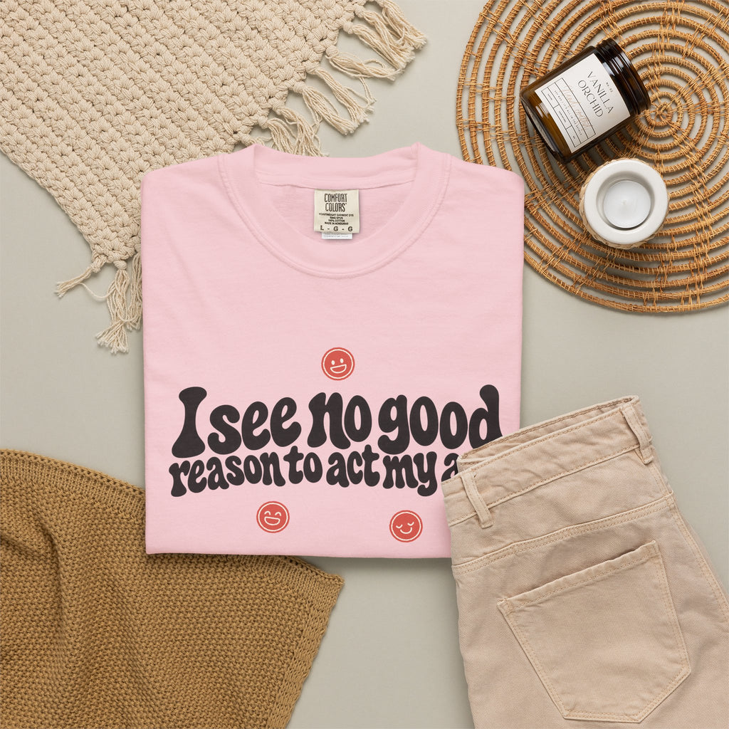I See No Good Reason… | Funny Graphic Tee