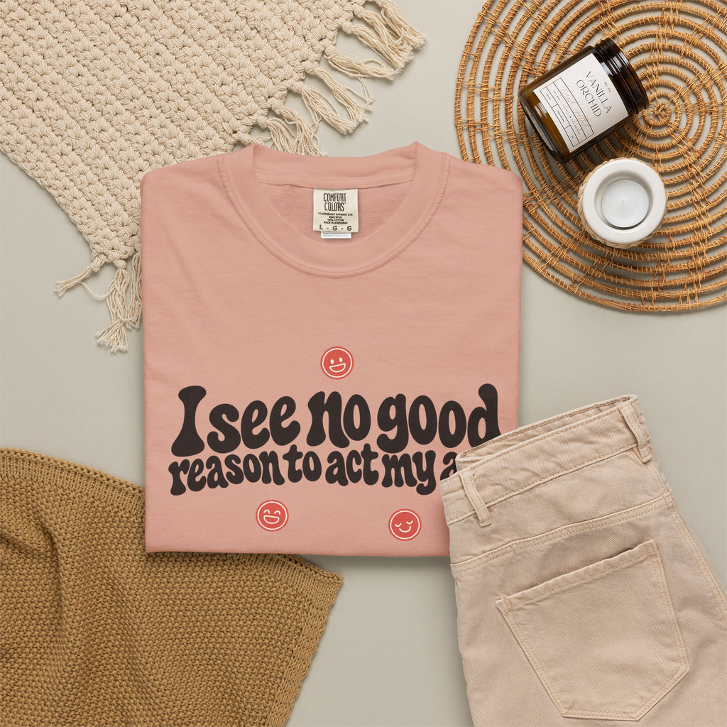 I See No Good Reason… | Funny Graphic Tee