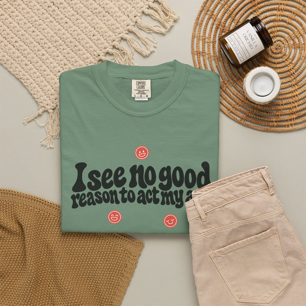 I See No Good Reason… | Funny Graphic Tee