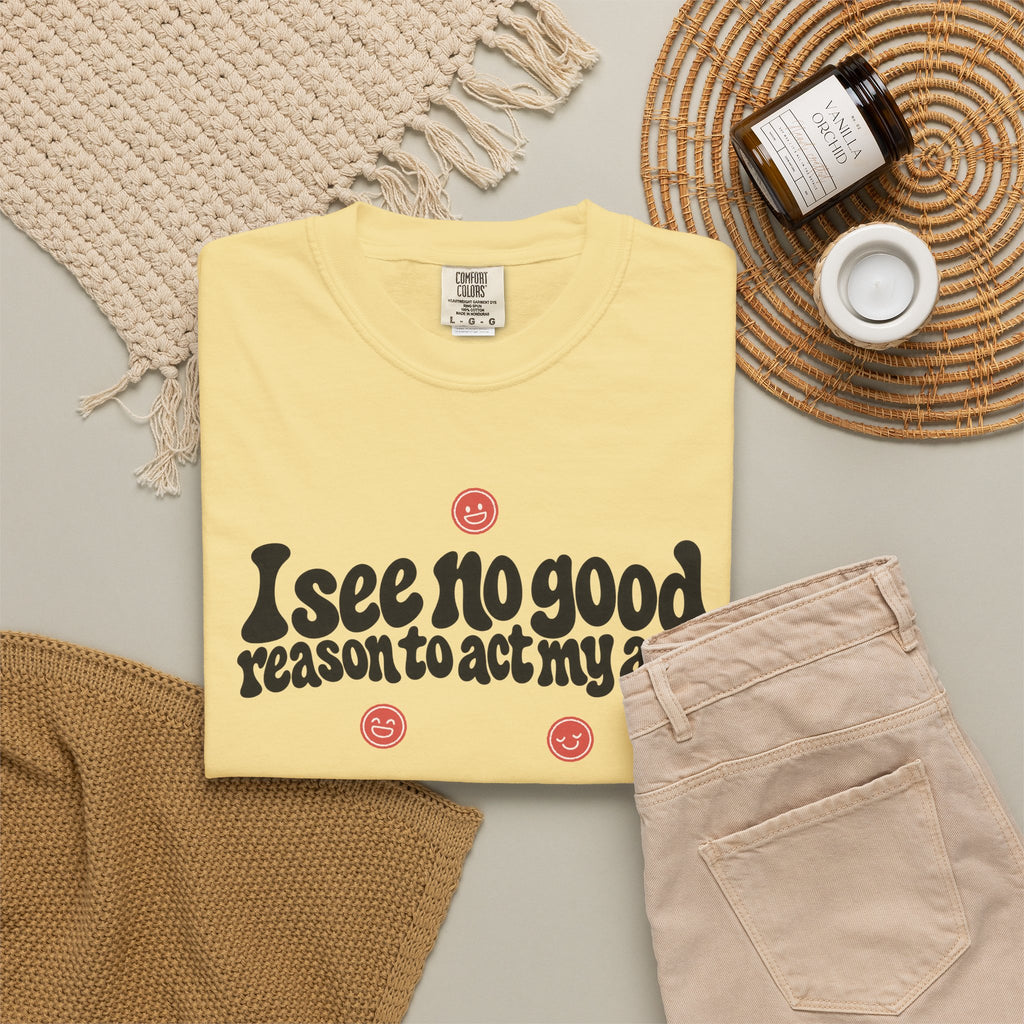 I See No Good Reason… | Funny Graphic Tee