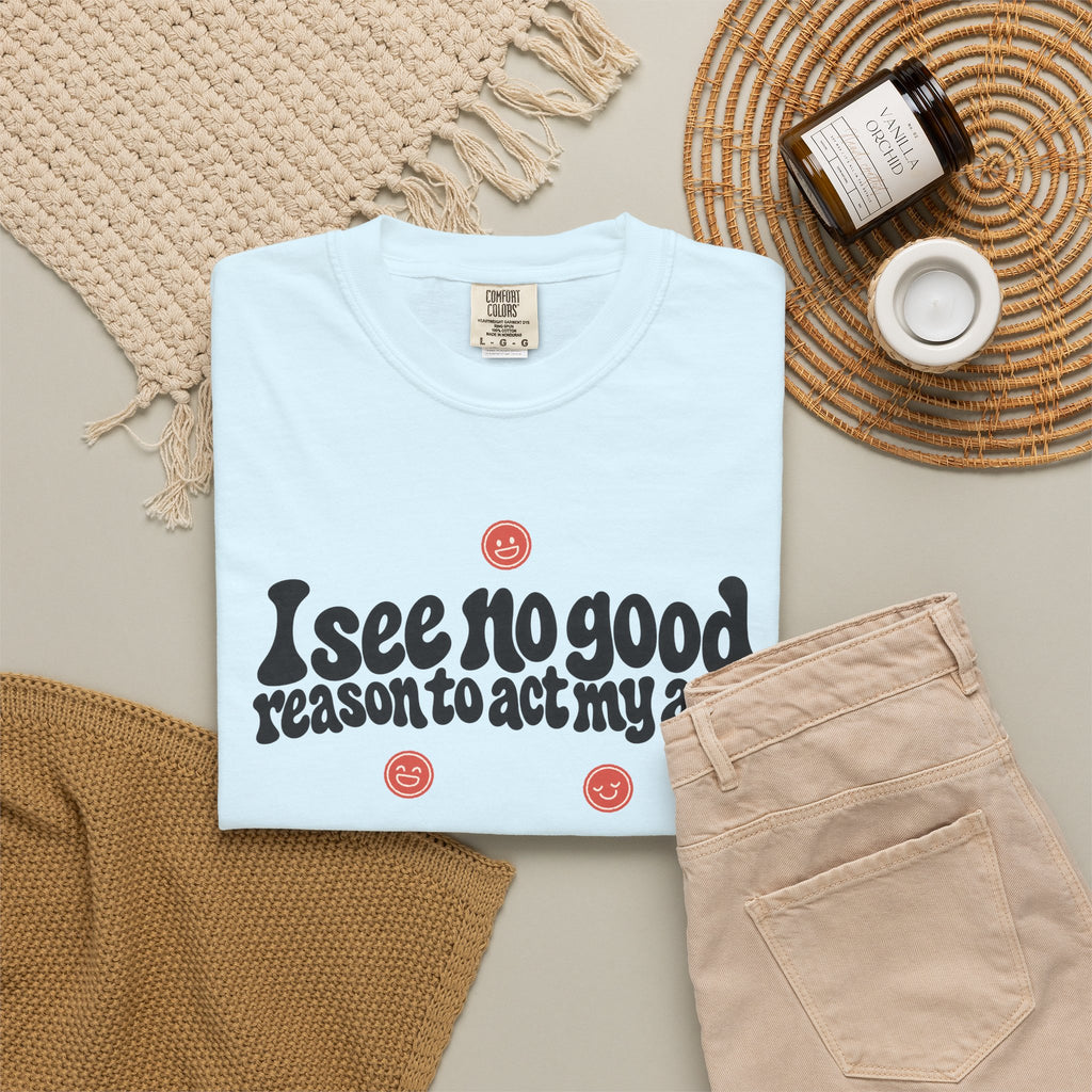 I See No Good Reason… | Funny Graphic Tee